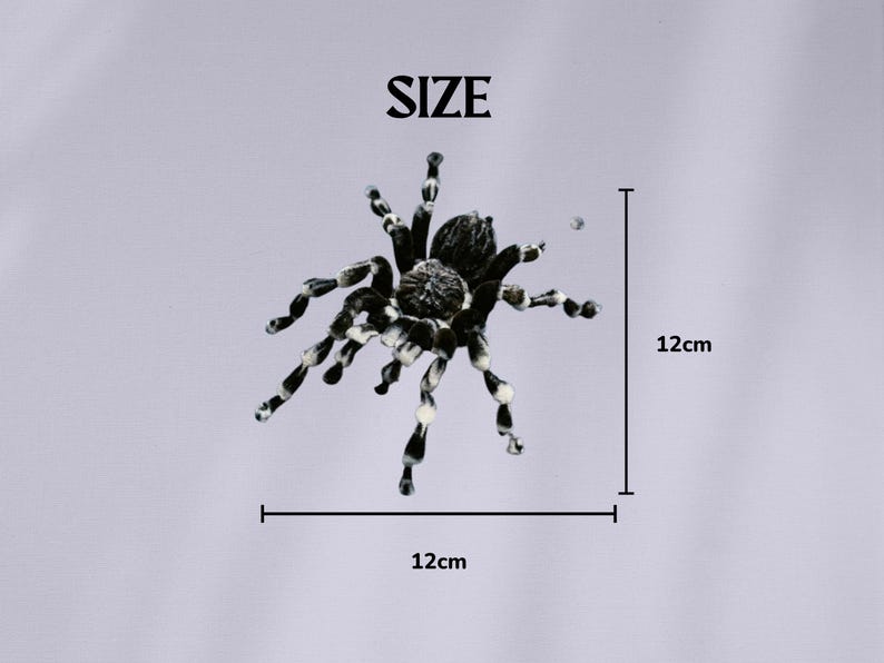 May include: A black and white spider figurine with a textured body and striped legs. The text SIZE is printed above the spider. Measurement lines indicate the spider has a width of 12cm and a height of 12cm, providing a clear visual scale.
