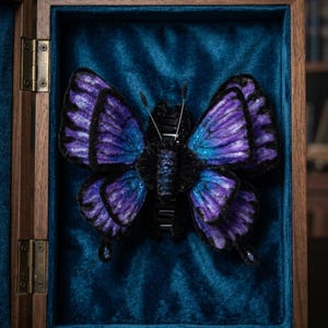 May include: A detailed, handcrafted butterfly with purple and blue wings, displayed in a wooden box with a blue velvet interior. The butterfly has a black body and antennae, creating a striking contrast. The wings showcase intricate patterns.