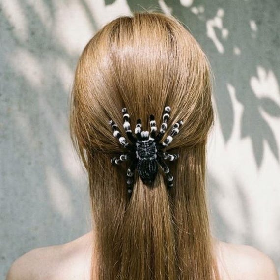 Handmade Brazilian Whiteknee Tarantula Hair Clip, Chenille Spider Decor