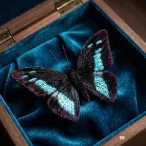 May include: A plush butterfly with black and teal wings rests inside a wooden box lined with teal velvet. The butterfly has a dark body and teal accents on its wings. The box is open, revealing the butterfly.