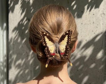 Sunlit Wings