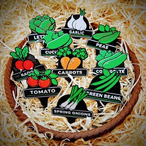 Op de afbeelding: Een verzameling groentetuinmarkers, waaronder sla, knoflook, erwten, radijs, tomaten, wortelen, komkommers, sperziebonen en lente-uitjes. Elke marker is zwart met een wit label en een kleurrijke groente-illustratie.