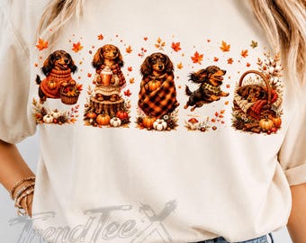 Fall Dachshund PNG Bundle, Autumn Wiener Dog Sublimation, Cozy Doxie Pumpkin PNG, Cute Dog Lover Digital Download