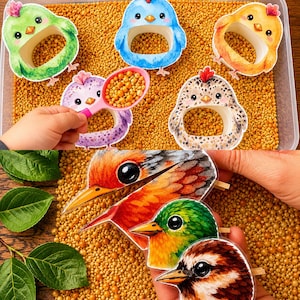 May include: A selection of colourful bird-themed craft supplies. The image shows several cutout bird shapes, including chicks and detailed bird heads, along with a spoon filled with small, round, yellow beads. The birds are in a clear plastic container filled with the same beads.