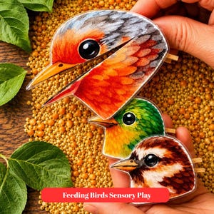 Könnte beinhalten: Drei vogelgeformte Holzausschnitte mit detaillierten Illustrationen eines Rotkehlchens, eines grünen Vogels und eines braunen Vogels. Jedes Teil hat einen kleinen Holzstift auf der Rückseite und ist vor einem Hintergrund aus kleinen gelben Samen platziert.