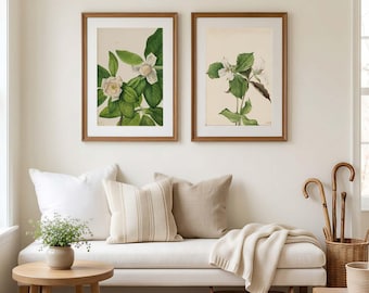Botanical Cottage Set Of 2 Wall Art, Soft Cottagecore Print, Summer Gift Fine Art Paper