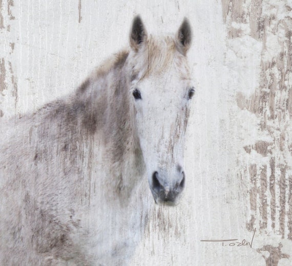 ホワイトビューティー 素朴な馬の絵画 キャンバスに描かれたオリジナル