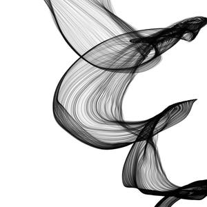May include: Abstract black and white graphic design with a swirling, flowing pattern. The design is made up of thin lines that create a sense of movement and energy.