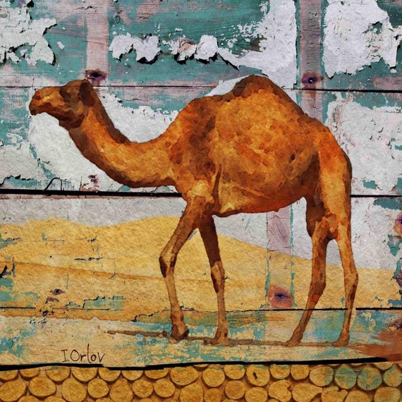 Camel House. Extra Large Camel Canvas Print up to 45 x 45" by Irena Orlov