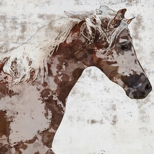 May include: A watercolor painting of a horse's head with a white and brown spotted pattern. The horse has a long white mane and a brown nose. The background is a light gray with a textured look.