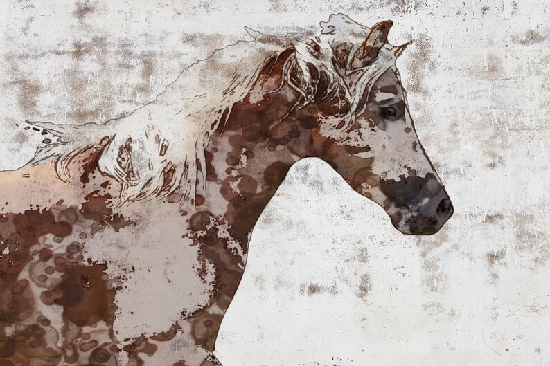 May include: A watercolor painting of a horse's head with a white and brown spotted pattern. The horse has a long white mane and a brown nose. The background is a light gray with a textured look.