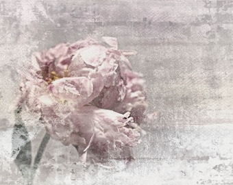 Romantic Peony 1, Shabby Pink Gray Rustic Peony, Shabby Chic Blush Peony Flower Hand Textured Canvas Art Print, Oversized Large Blush Decor