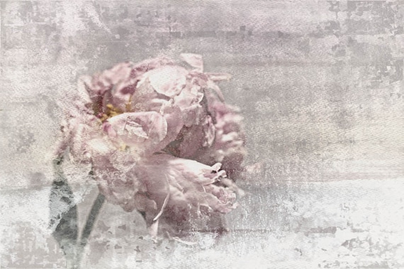 Romantic Peony 1, Shabby Pink Gray Rustic Peony, Shabby Chic Blush Peony Flower Hand Textured Canvas Art Print, Oversized Large Blush Decor