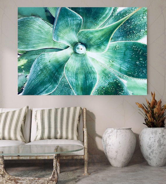 Green Tropical Succulent Beauty 2. SUCCULENT Wall Art, Pale Green CANVAS Prints, Succulent Flower Artwork up to 72" by Irena Orlov