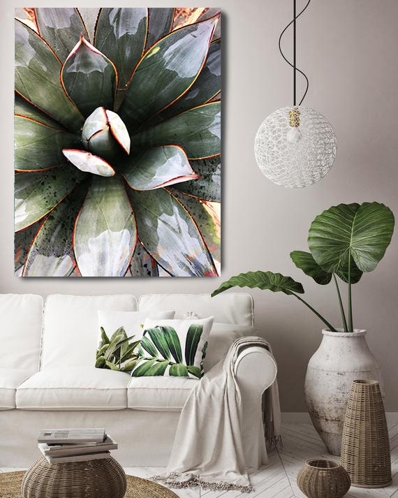 Tropical Star 2, Agave Wall Decor, Cactus print, Succulent Decor, Tropical Photography, Tropical Canvas Print