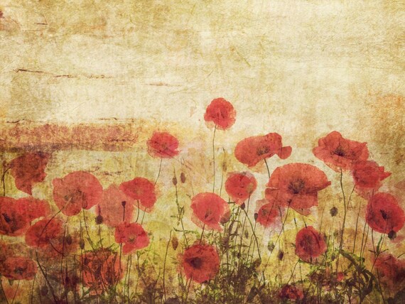 Provence poppy field. Canvas Print by Irena Orlov 40x30"