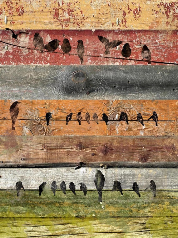 Birds composition II. Canvas Print by Irena Orlov 24x36"