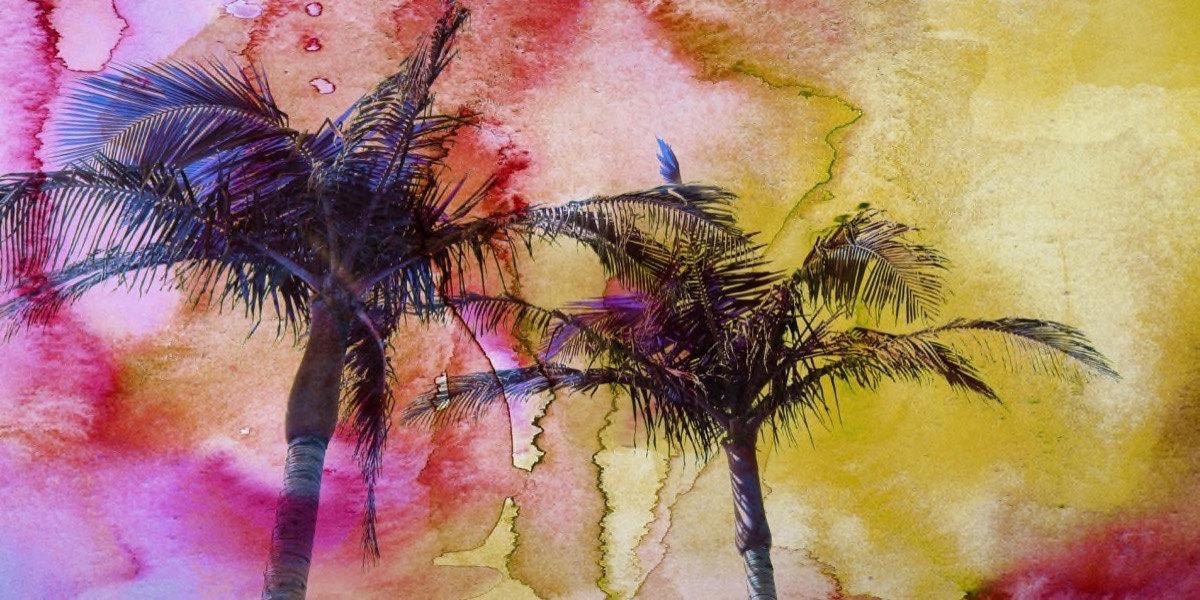 Palm Trees , Large Canvas Print 30 x 60. Palm Trees Wall Decor