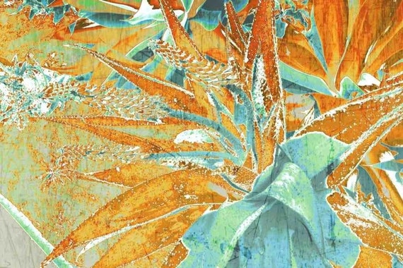 Cactus Field. Canvas Print by Irena Orlov 24 x 36"