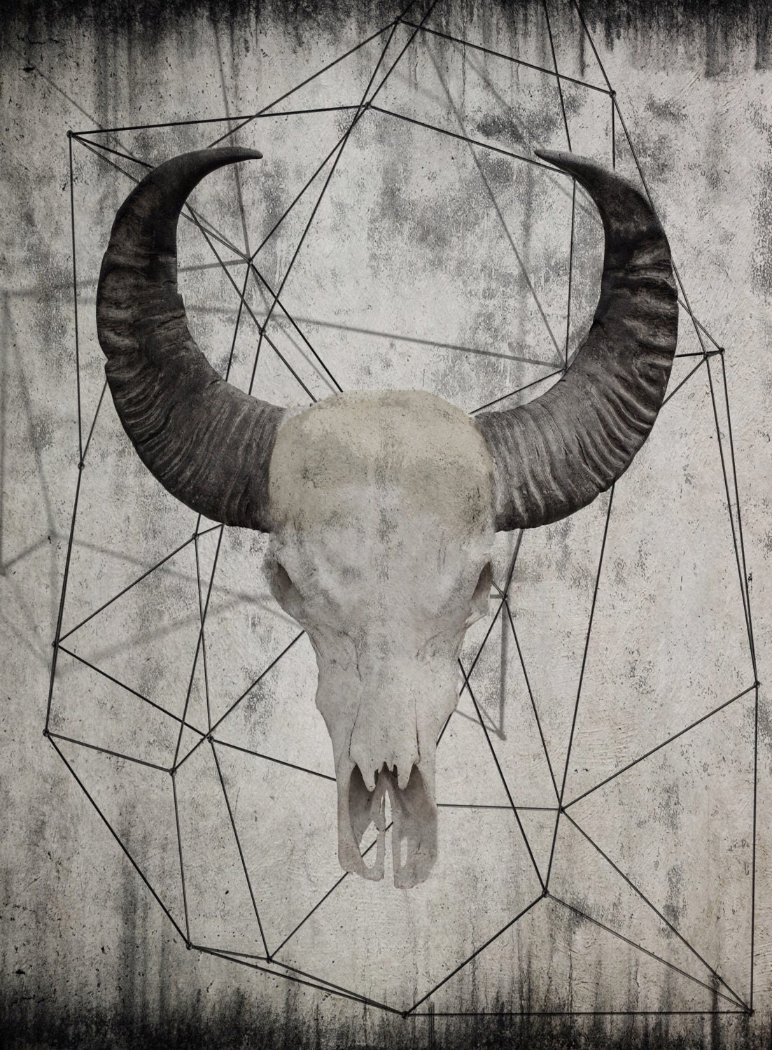 Buffalo skull 4. Extra Large Rustic Buffalo Skull Beige Canvas Wall Art Print up to 72, Animal ...