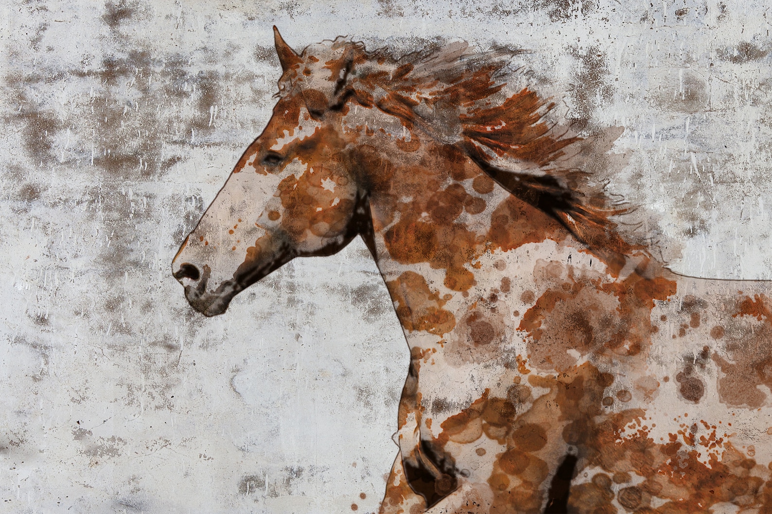Frame Paint Horse Paintings on Canvas Horse Race Beautiful Horse