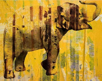 Yellow Elephant. Canvas Print by Irena Orlov