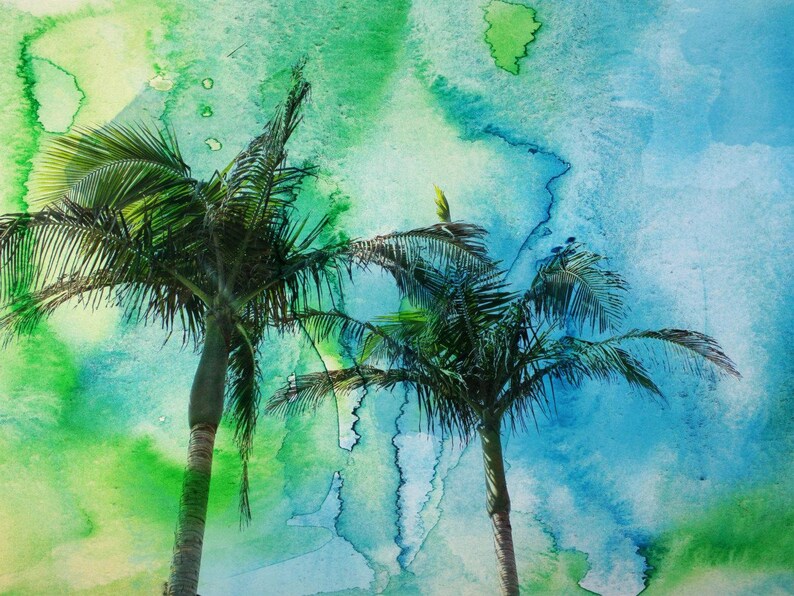 Palm Trees. Canvas Print by Irena Orlov image 1