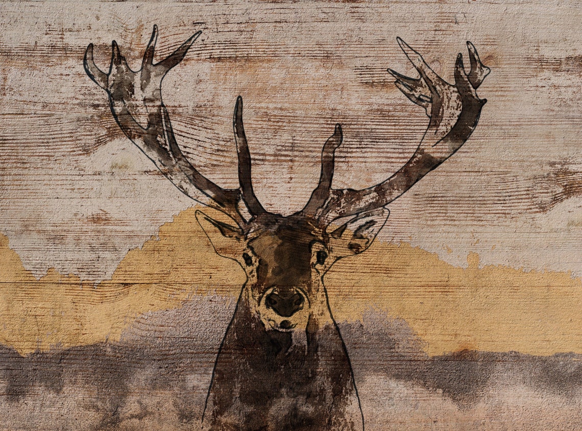 Whitetailed Deer Canvas Art Large Canvas Wild Deer Canvas Etsy