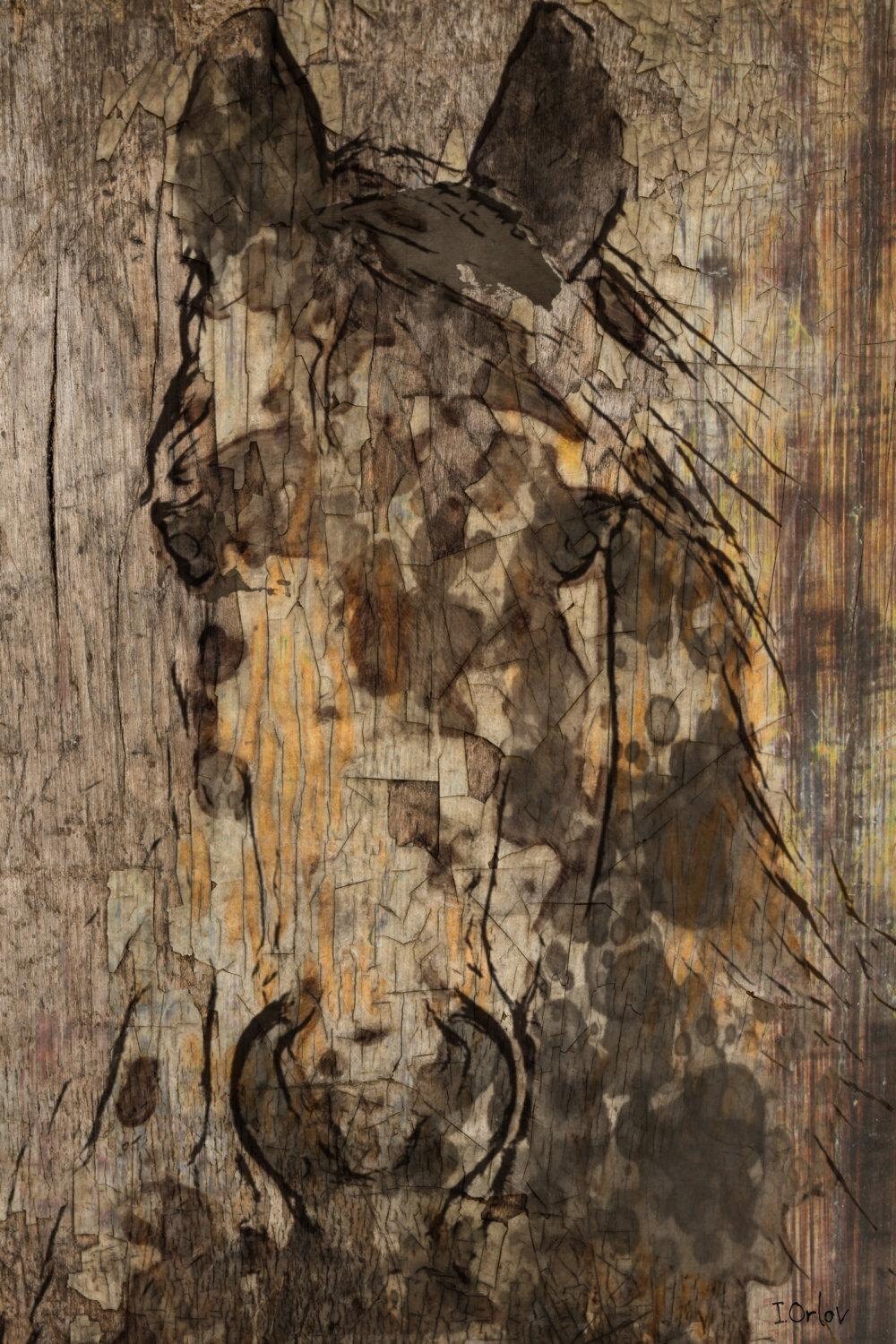 Black Diamond Horse Extra Large Horse Horse Wall Decor Brown Rustic Horse Large Contemporary Canvas Art Print Up To 72 By Irena Orlov
