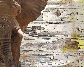 The Elephant. Canvas Print by Irena Orlov 24x36"