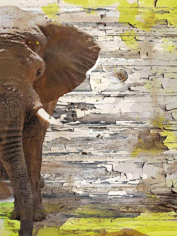 The Elephant. Canvas Print by Irena Orlov 24x36"