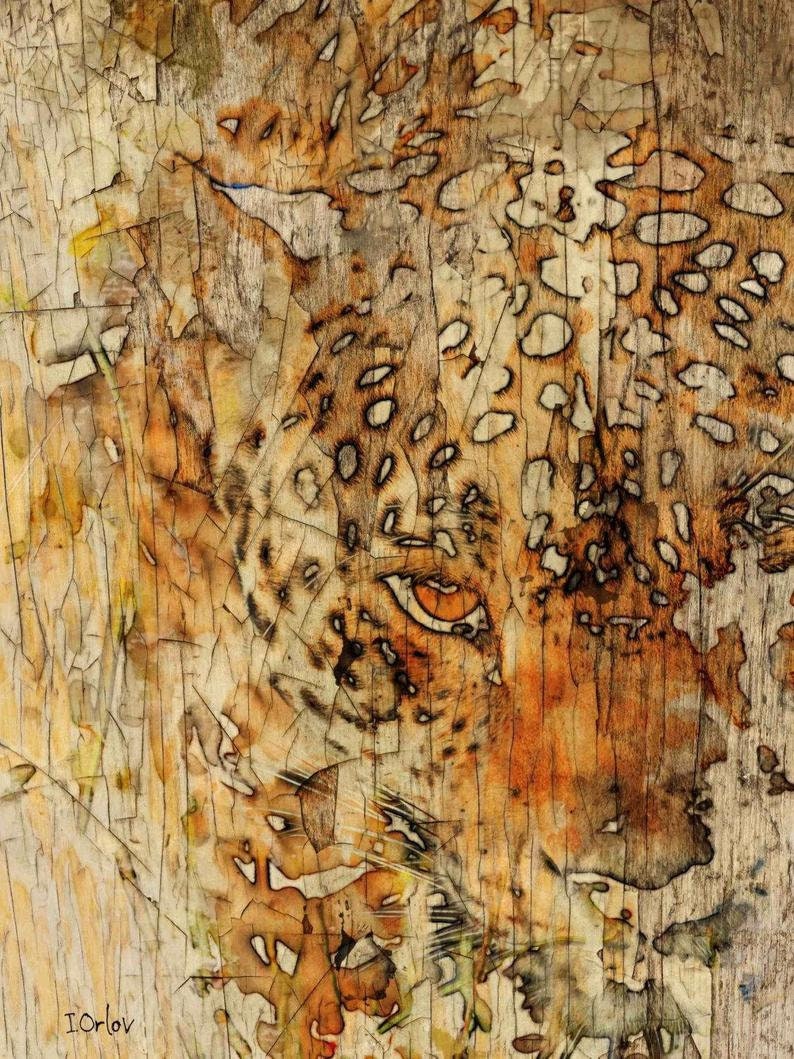 Tiger Animal Canvas Print Wall Art – Unframed Poster For Home Decor – Multi-Color