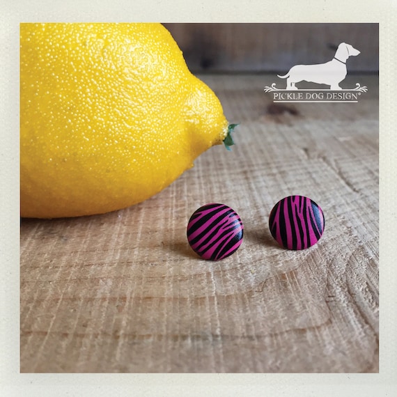 DOLLAR DEAL! Pink Zebra. Post Earrings