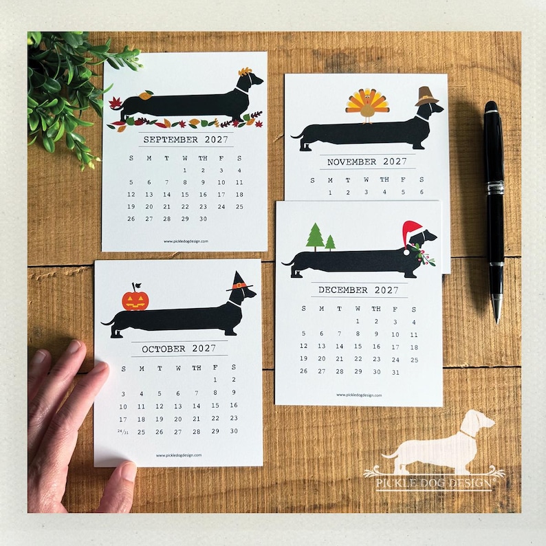 May include: Four white calendar cards for September, October, November, and December 2027, each featuring a black dachshund illustration with seasonal themes like autumn leaves, a pumpkin, a turkey, and a Christmas tree with a Santa hat.