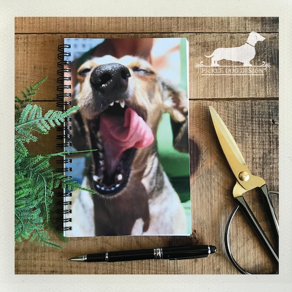 Doxie Yawn. Notebook