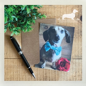 Valentine Dachshund Flat Card: Doxie Love Note Card, Dapper Dog, Anniversary