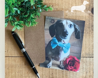 Valentine Doxie. Set of 5 Flat Cards -- (Love Card, Anniversary Card, Dachshund, Vintage-Style, Wiener Dog, I Love You, Dog, Valentine Rose)