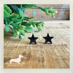 May include: A pair of black star-shaped stud earrings. The earrings are glossy and sit on a wooden surface, with green foliage in the background. The earrings are a simple, yet stylish accessory.