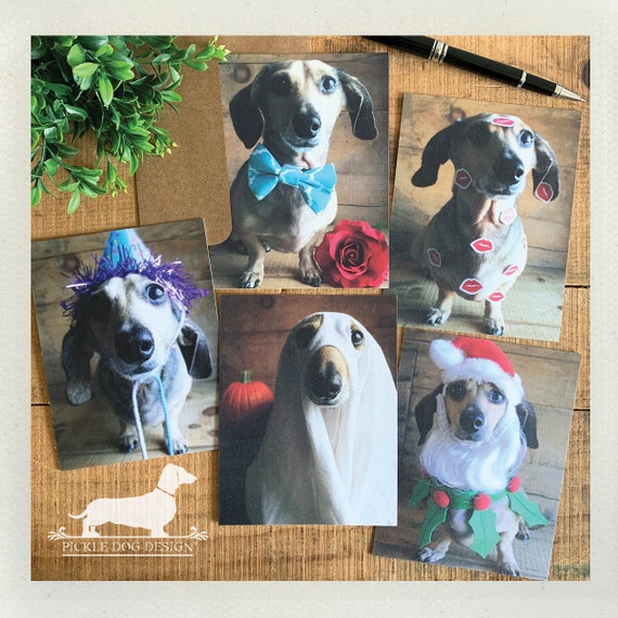 Holiday Doxie. Set of 5 Flat Cards