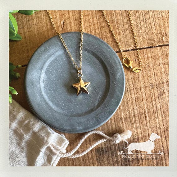 Gold Star. Necklace