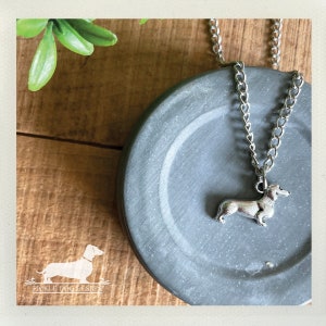 Könnte beinhalten: Halskette mit einem silberfarbenen Dackel-Anhänger. Der Hundeanhänger ist detailliert und an einer Kette befestigt. Die Halskette liegt auf einer grauen, kreisförmigen Oberfläche. Der Hintergrund umfasst eine Holzoberfläche und eine grüne Pflanze.