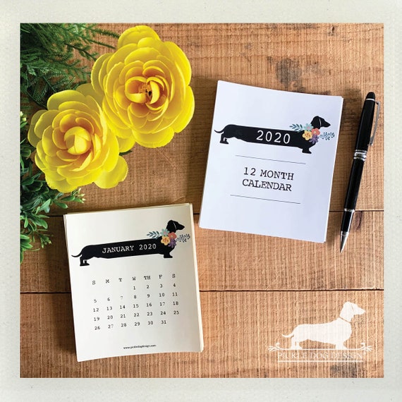 DOLLAR DEAL! Floral Doxie. 2020 Desktop Calendar