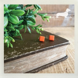 May include: Two small, square, orange stud earrings are displayed on a vintage book. The earrings are the focal point, with a sprig of green foliage in the background. The earrings are a simple, geometric design.