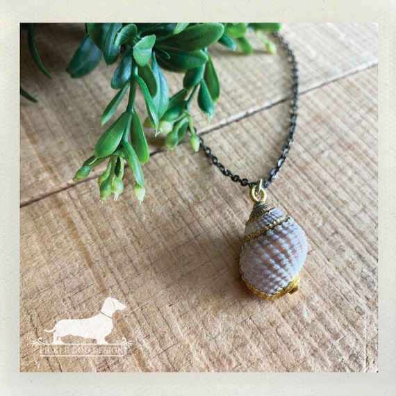 Shell. Necklace