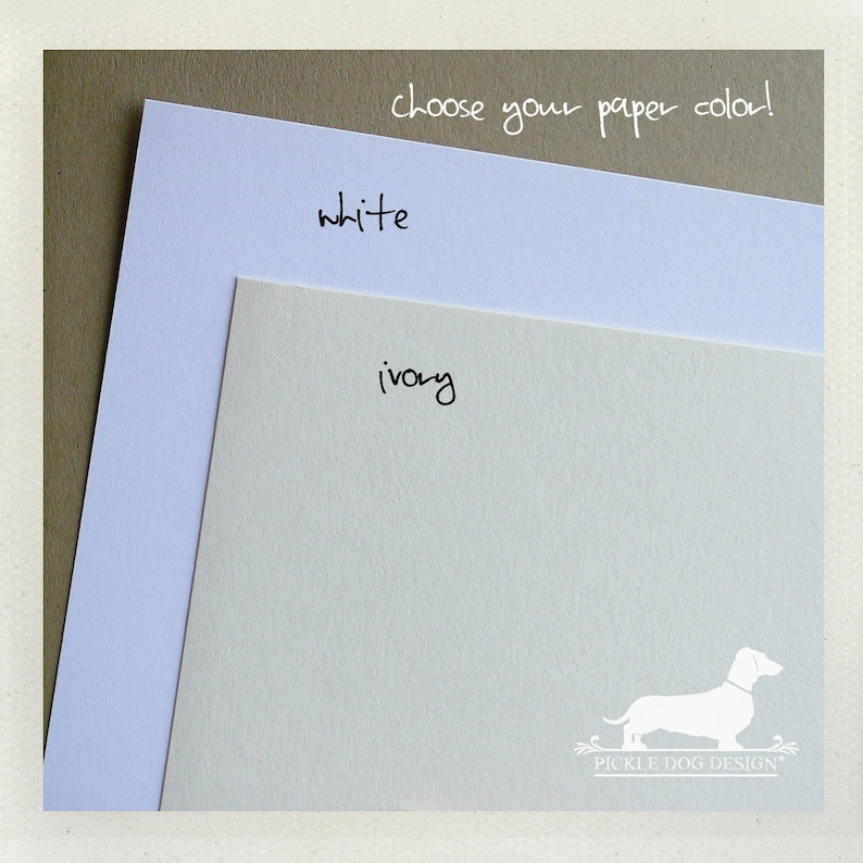 May include: Two sheets of paper, one white and one ivory, are displayed against a neutral background. The text "choose your paper color!" is written at the top. The word "white" is written on the white paper, and "ivory" is written on the ivory paper. A dog logo is in the bottom right corner.