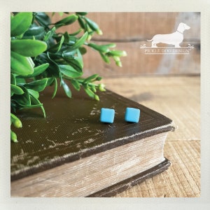 May include: A pair of light blue square stud earrings. The earrings are displayed on a vintage book with a green plant in the background. The earrings are a simple, minimalist design. The logo "Pickle Dog Design" is in the upper right corner.