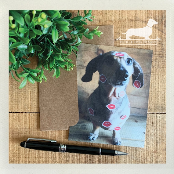 Doxie Kisses. Set of 5 Flat Cards