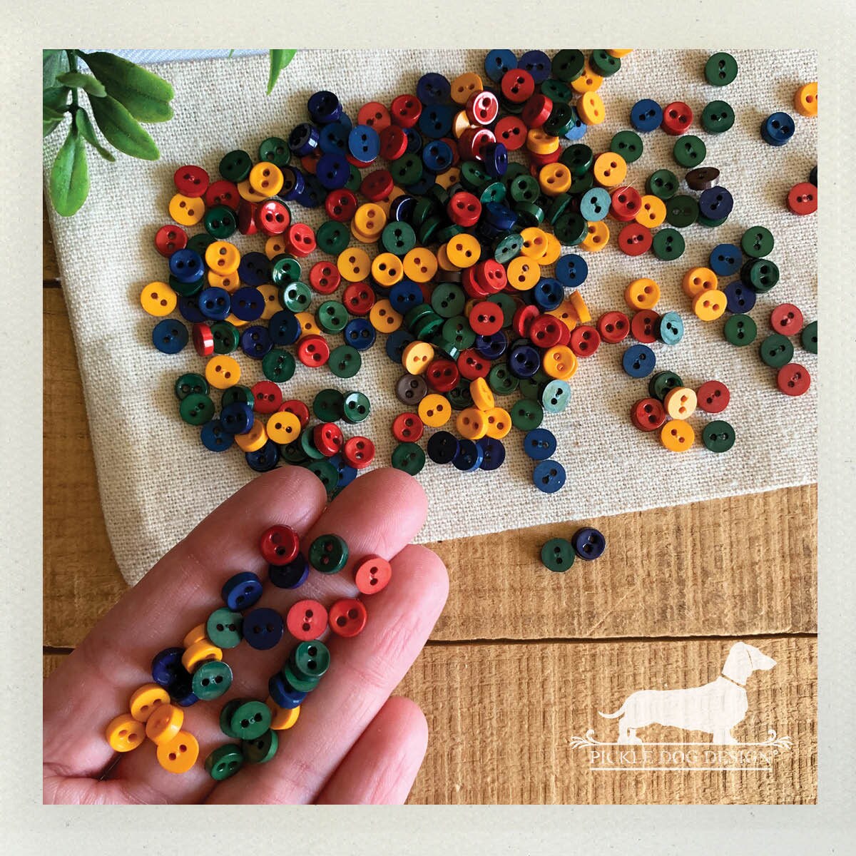 LAST CHANCE! Classic Mini Buttons