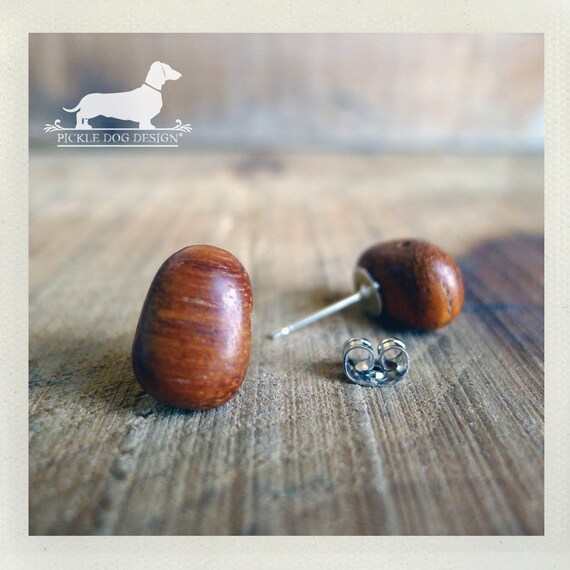 Cocoa Bean. Post Earrings