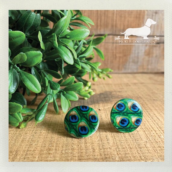 DOLLAR DEAL! Peacock. Post Earrings